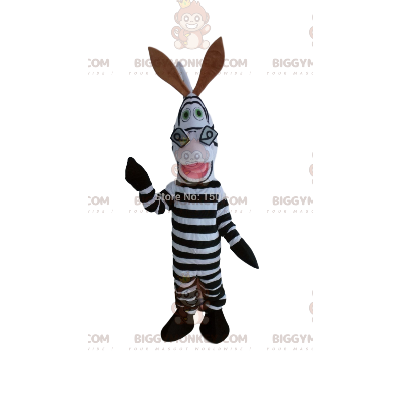 Costume of Marty, the famous zebra of the cartoon Madagascar -