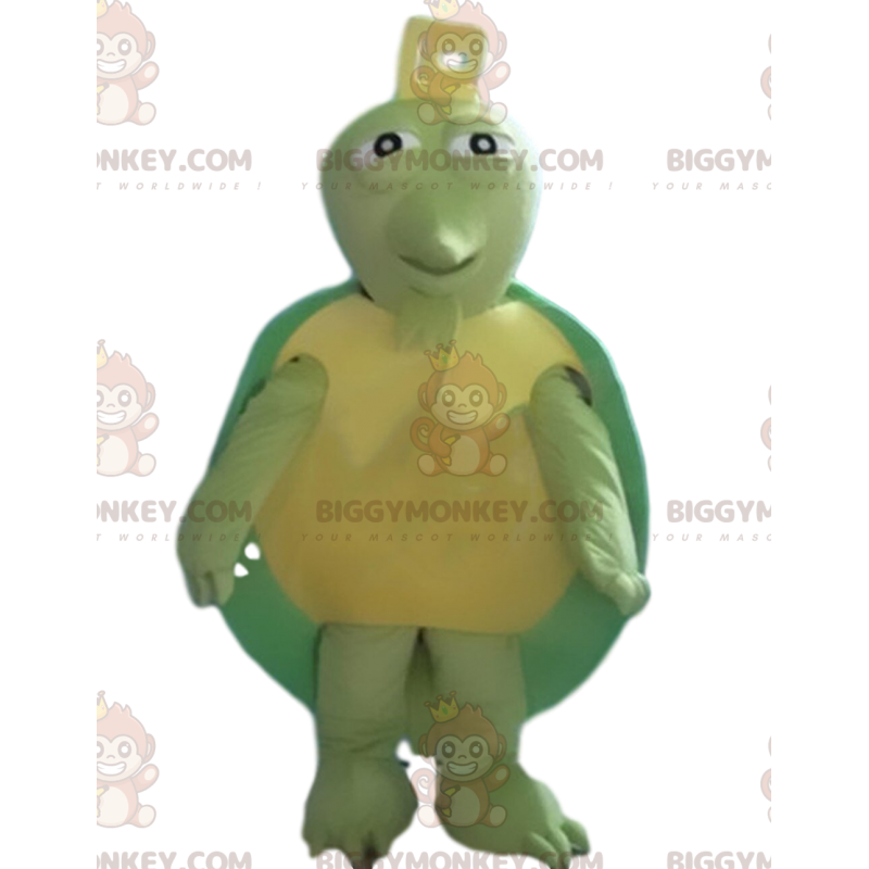 Green and Yellow Turtle BIGGYMONKEY™ Mascot Costume, Green