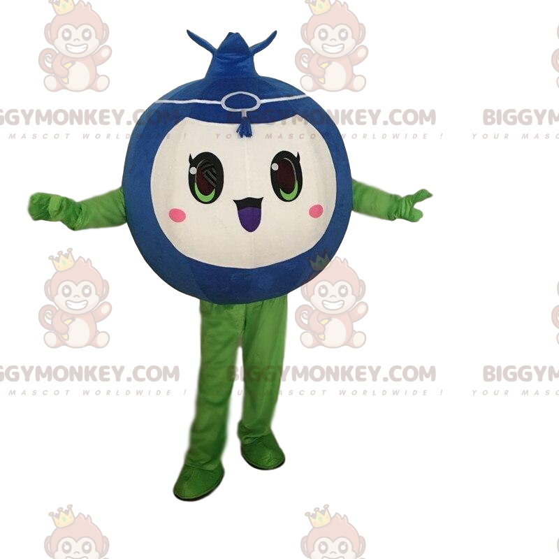 Funny and cute blueberry BIGGYMONKEY™ mascot costume, fruit