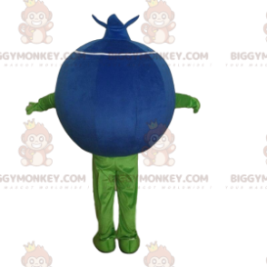 Funny and cute blueberry BIGGYMONKEY™ mascot costume, fruit