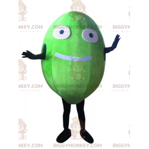 Costume de mascotte BIGGYMONKEY™ de melon, costume de fruit