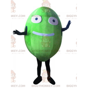 Melon BIGGYMONKEY™ maskotdräkt, rolig jätte oval fruktdräkt -