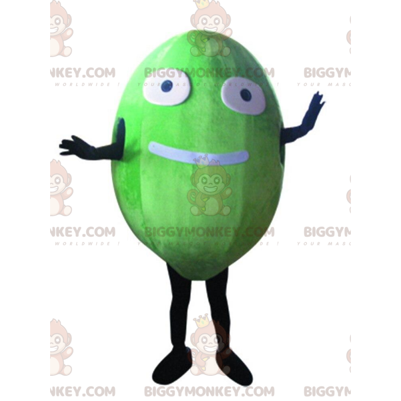 Costume de mascotte BIGGYMONKEY™ de melon, costume de fruit Costume de mascotte BIGGYMONKEY™ de melon, costume de fruit