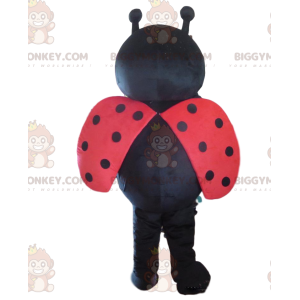 Κόκκινη και μαύρη στολή μασκότ BIGGYMONKEY™ Πασχαλίτσας, Στολή Πεταλούδας