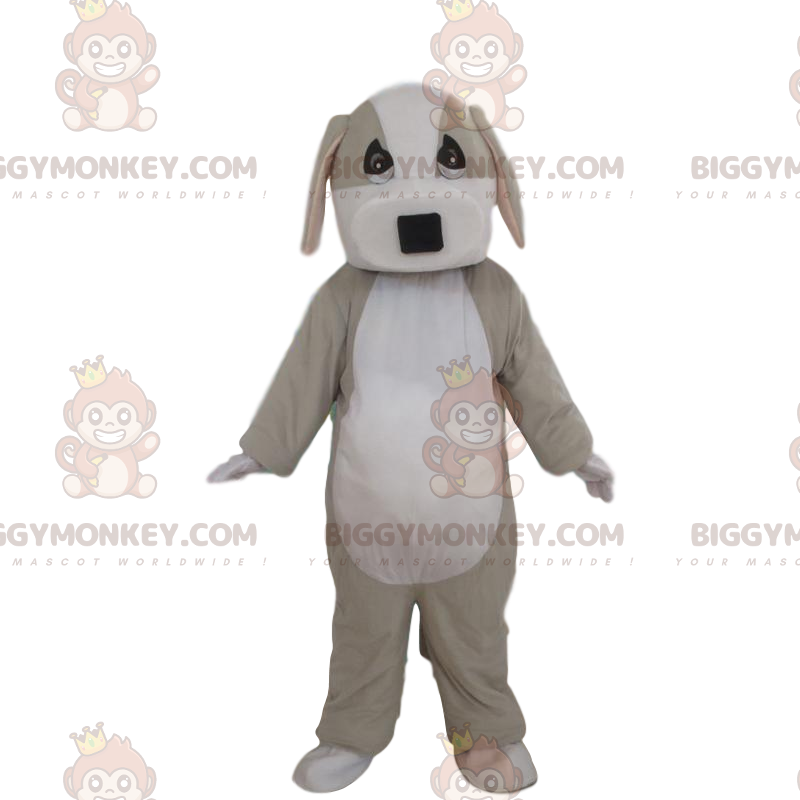 W pełni konfigurowalny kostium maskotki szaro-białego psa
