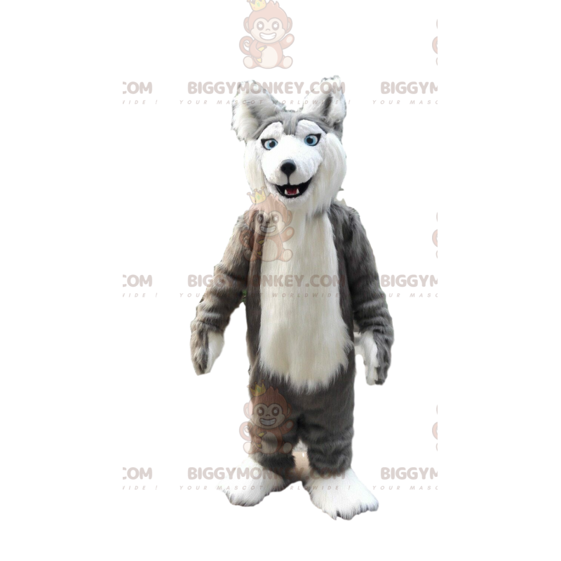 Traje de mascote BIGGYMONKEY™ de husky cinza e branco, fantasia