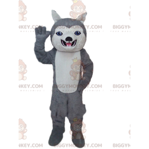 BIGGYMONKEY™ mascottekostuum van grijze en witte husky, blauwe