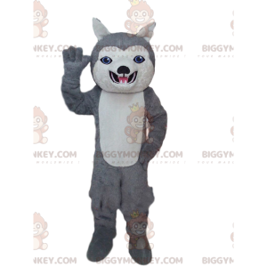 BIGGYMONKEY™ maskotkostume af grå og hvid husky, hundekostume