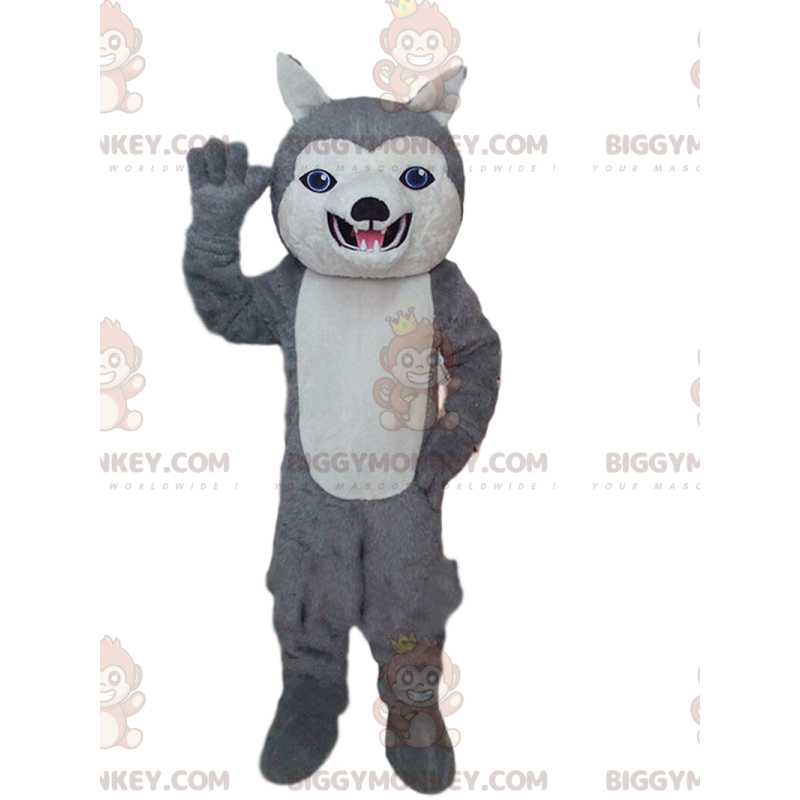 BIGGYMONKEY™ mascot costume of gray and white husky, blue eyes