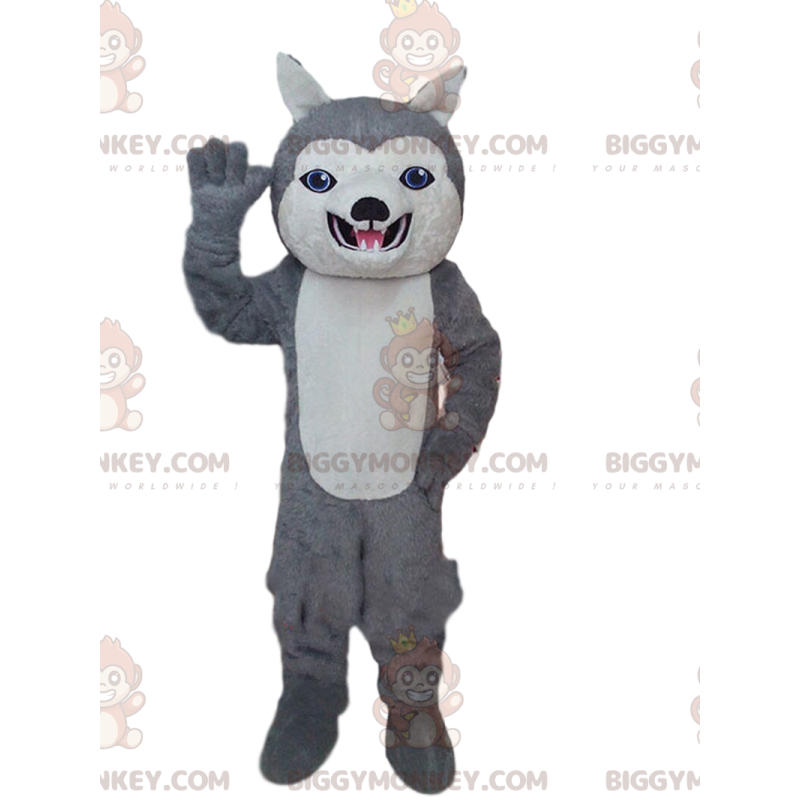 BIGGYMONKEY™ mascottekostuum van grijze en witte husky, blauwe