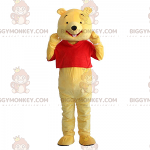 Winnie the Pooh costume, famous cartoon bear - Biggymonkey.com