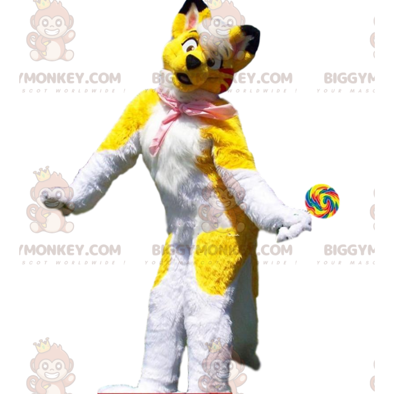 Yellow and white dog costume, colorful husky costume -