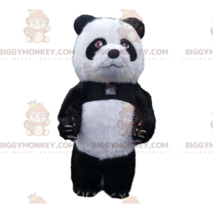 Oppusteligt panda kostume, kæmpe bamse kostume - Biggymonkey.com