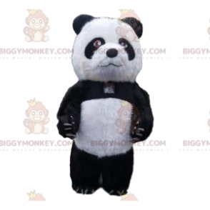 Uppblåsbar pandadräkt, jättenalledräkt - BiggyMonkey maskot