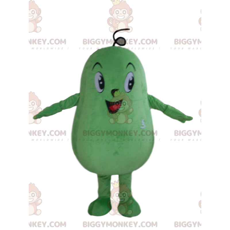 Στολή μασκότ από Giant Green Squash BIGGYMONKEY™, Φανταχτερό φόρεμα από πράσινο λαχανικό - Μασκότ λαχανικών - BiggyMonkey.com