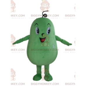 Fantasia de mascote BIGGYMONKEY™ de abóbora verde gigante