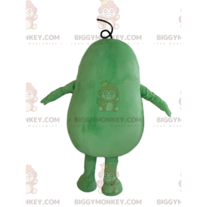 Giant Green Squash BIGGYMONKEY™ Mascot Costume, Green Vegetable