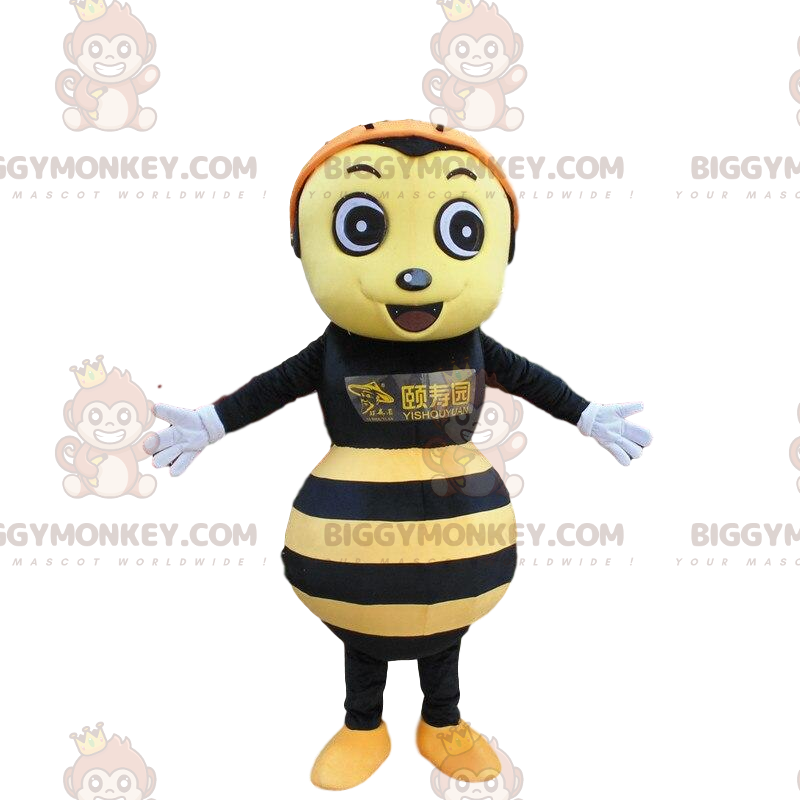 Keltainen ja musta ampiaisasu, mehiläisasu - Biggymonkey.com