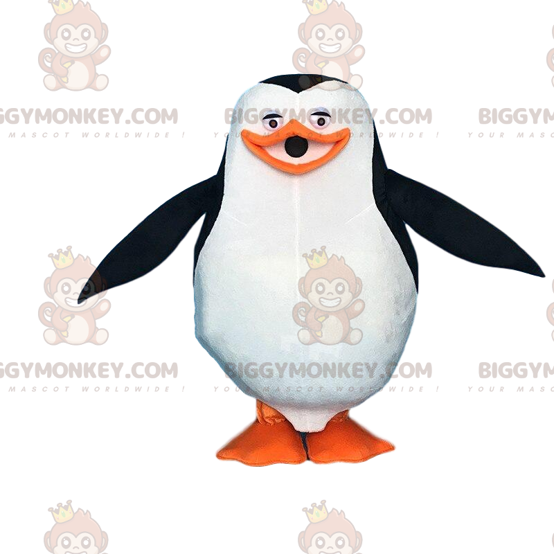 Disguise of the famous cartoon penguin Madagascar -