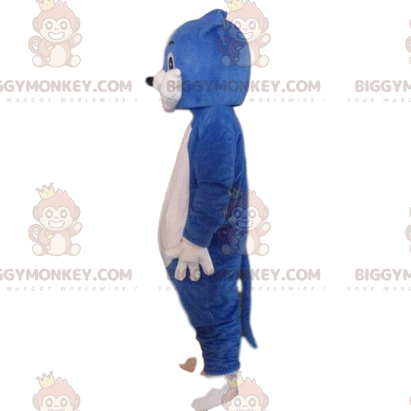 Blue and white cat costume, plush cat costume - Biggymonkey.com