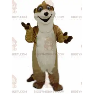 Meerkat-asu, aavikon eläin - Biggymonkey.com