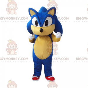 BIGGYMONKEY™ mascot costume of Sonic, the famous Sega video
