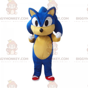 BIGGYMONKEY™-mascottekostuum van Sonic, de beroemde