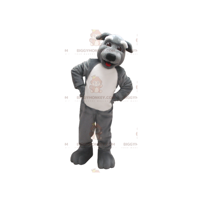 Costume de mascotte BIGGYMONKEY™ de chien gris et blanc -