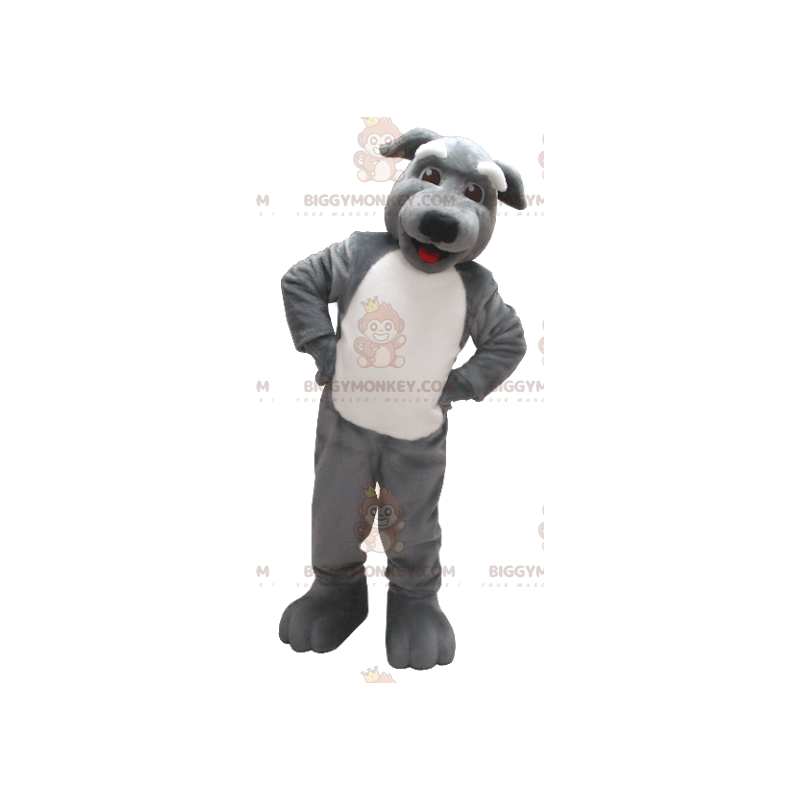 Grijze en witte hond BIGGYMONKEY™ mascottekostuum - Hondenmascottes - BIGGYMONKEY_01228 - BiggyMonkey.com