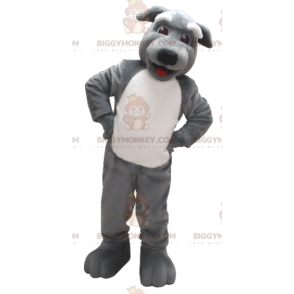 Grijze en witte hond BIGGYMONKEY™ mascottekostuum - Hondenmascottes - BIGGYMONKEY_01228 - BiggyMonkey.com