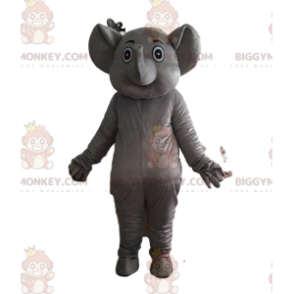 Täysin alaston ja muokattavissa oleva harmaa norsuasu - Elefantti-maskotit - BIGGYMONKEY_010750 - BiggyMonkey.com