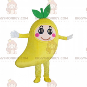 Costume de mascotte BIGGYMONKEY™ de mangue géante, costume de