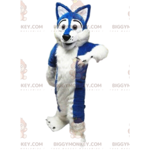 White and blue dog costume, soft and captivating –