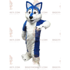 White and blue dog costume, soft and captivating -