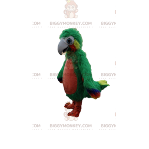 Traje de mascote de papagaio peludo gigante verde vermelho e
