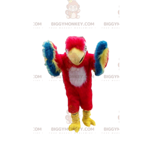 Rød, gul, blå og hvid papegøje BIGGYMONKEY™ maskotkostume -