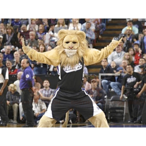 Lion BIGGYMONKEY™ Mascot Costume In Sportswear – Biggymonkey.com