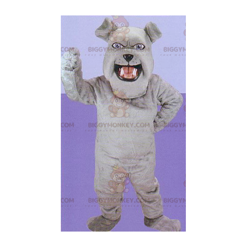 Kostým maskota šedého buldoka BIGGYMONKEY™ – Biggymonkey.com Kostým maskota šedého buldoka BIGGYMONKEY™ – Biggymonkey.com