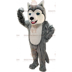 BIGGYMONKEY™ mascottekostuum van grijze en witte husky, harige