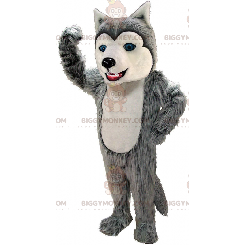 Traje de mascote BIGGYMONKEY™ de husky cinza e branco, fantasia Traje de mascote BIGGYMONKEY™ de husky cinza e branco, fantasia