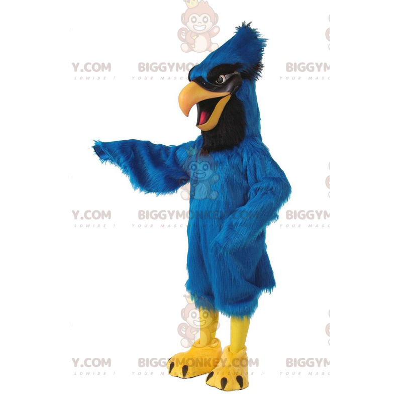 Steller's Jay BIGGYMONKEY™ maskottiasu, blue jay -asu, lintu - Steller's Jay BIGGYMONKEY™ maskottiasu, blue jay -asu, lintu -
