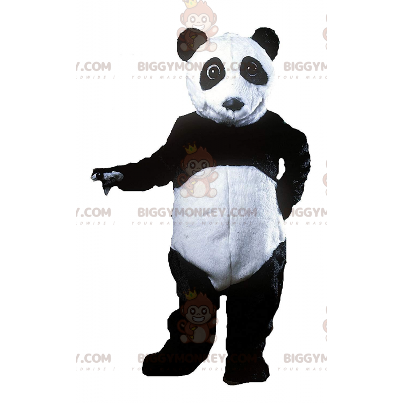 BIGGYMONKEY™ mascottekostuum van zwart-witte panda, Azië BIGGYMONKEY™ mascottekostuum van zwart-witte panda, Azië