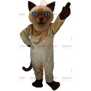 BIGGYMONKEY™ maskotdräkt för siameser, realistisk kattdräkt -