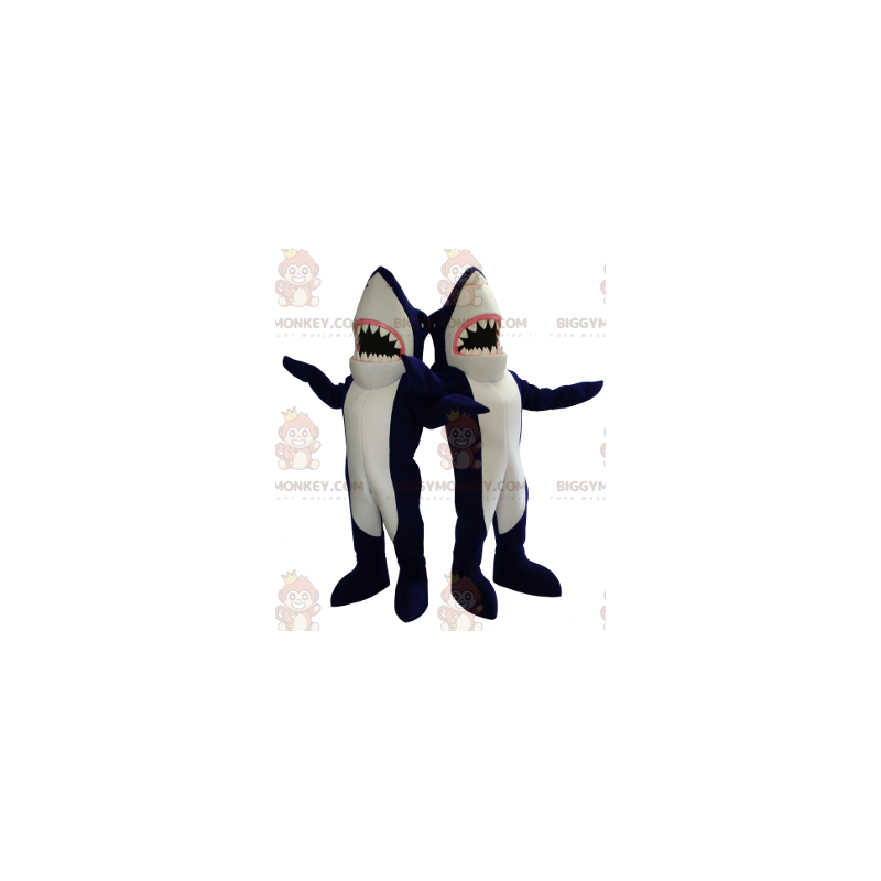 2 BIGGYMONKEY™s gigantiske blå- og hvithaier - Fiskemaskotter - BIGGYMONKEY_01289 - BiggyMonkey.com