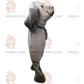 Gray Seal BIGGYMONKEY™ Maskotdräkt, Giant Sea Lion Costume - Tät maskot - BIGGYMONKEY_011220 - BiggyMonkey.com