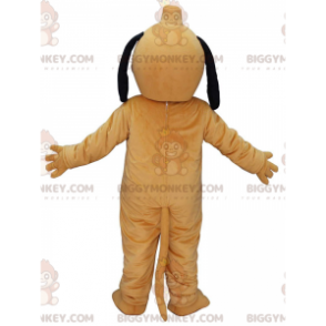 Disfraz de mascota BIGGYMONKEY™ de Pluto, el famoso perro amarillo de Disney - Mascotas personajes famosos - BiggyMonkey.com