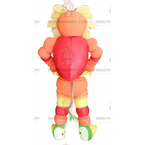 Ovocný vícebarevný kostým maskota BIGGYMONKEY™ – Biggymonkey.com