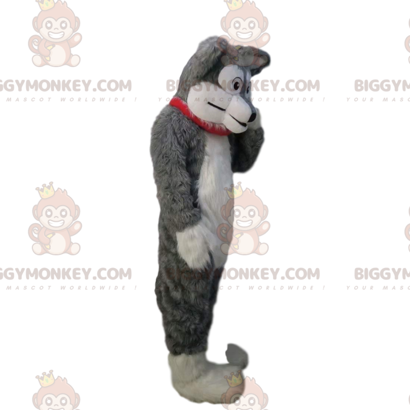 BIGGYMONKEY™ maskotkostume af blød og lodnet grå og hvid hund