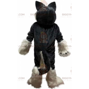 BIGGYMONKEY™ maskottiasu harmaan ja valkoisen huskyn, karvaisen