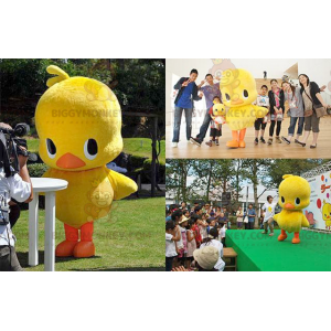 Fat Yellow and Orange Duck Chick BIGGYMONKEY™ maskotdräkt -